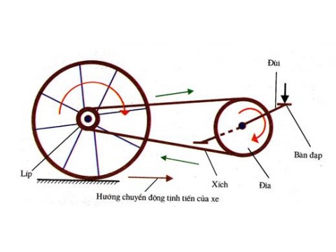 bộ phần truyền chuyển động : 동력전달부